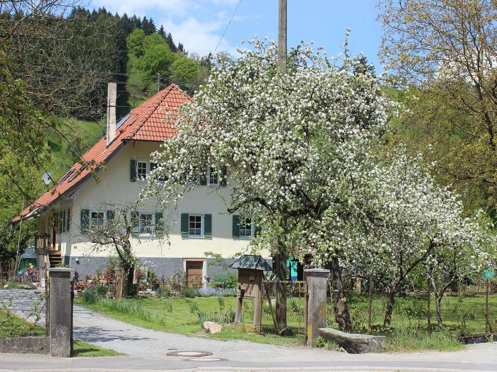 Ferienwohnung Haus am Bach Steinach  Exterior foto